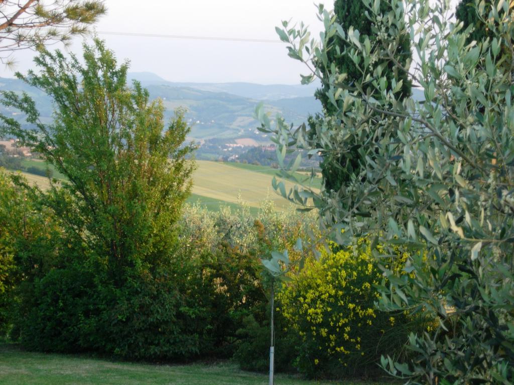 B&B La Torretta Tavullia Buitenkant foto